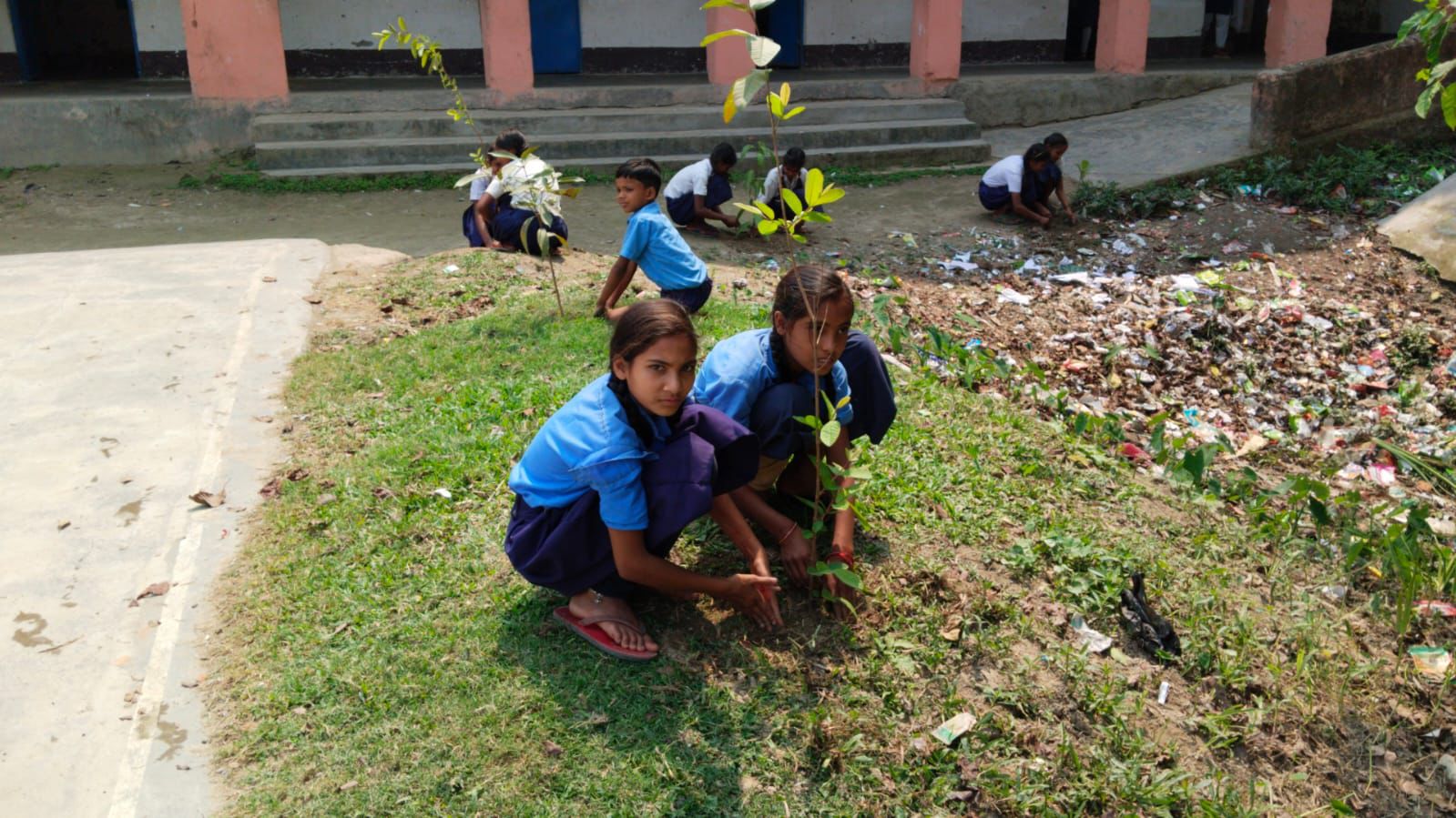 Two young students planting a native sapling together