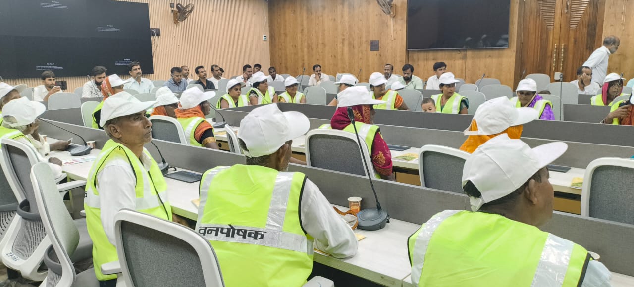 WhatsApp Image 2025-07-30 at 19.31.54